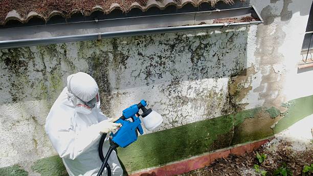Top rated local Mold Inspection And Testing specialists in Buies Creek, NC